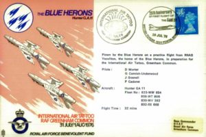 Air Displays -Blue Herons cover
