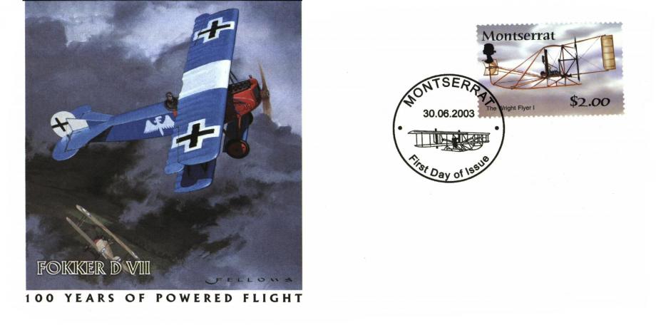 Fokker D V11 cover