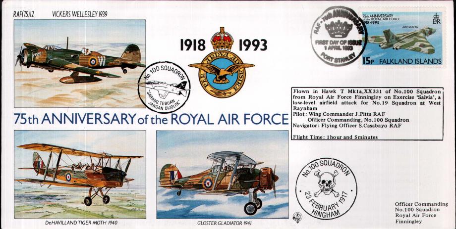 100 Squadron cover