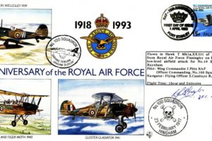 100 Squadron cover